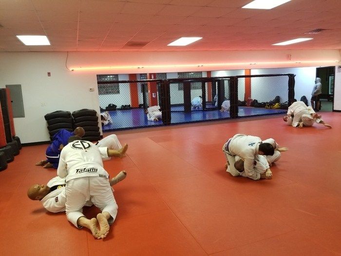 Unlock Your Potential with Adult BJJ at Nubreed