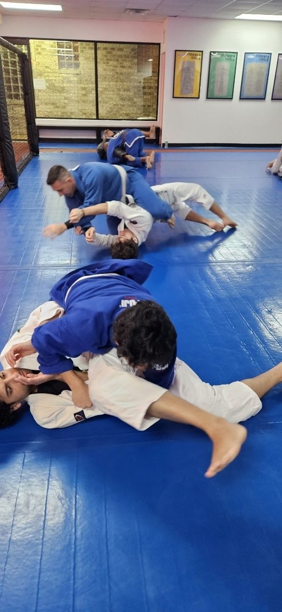 Transform Your Body and Mind with BJJ at Nubreed