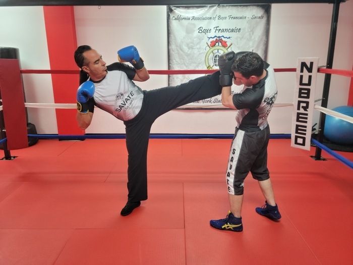  Boxe-Francaise Savate: The Art and Science of French Kickboxing